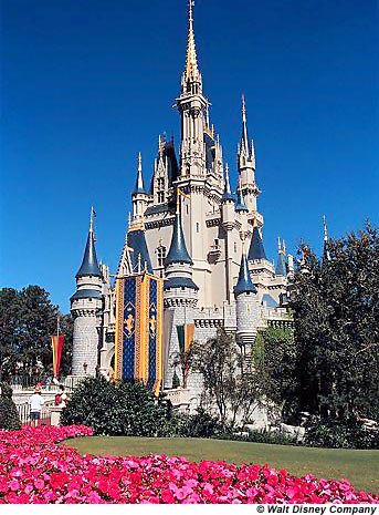 magic kingdom castle cake. Magic Kingdom has Cinderella#39;s